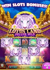 Casino Ao Vivo 6846